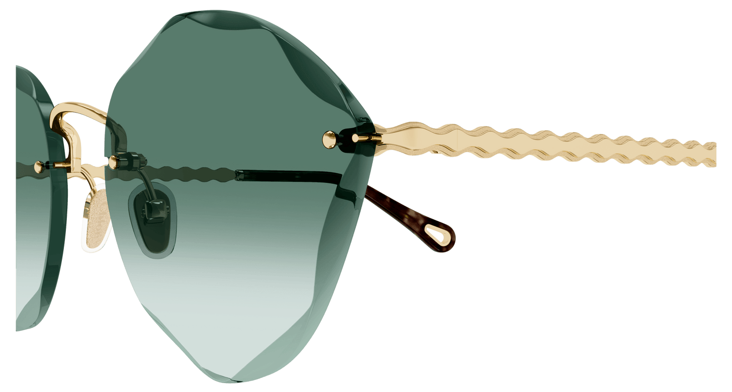 CHLOÉ CH0253S 003 58