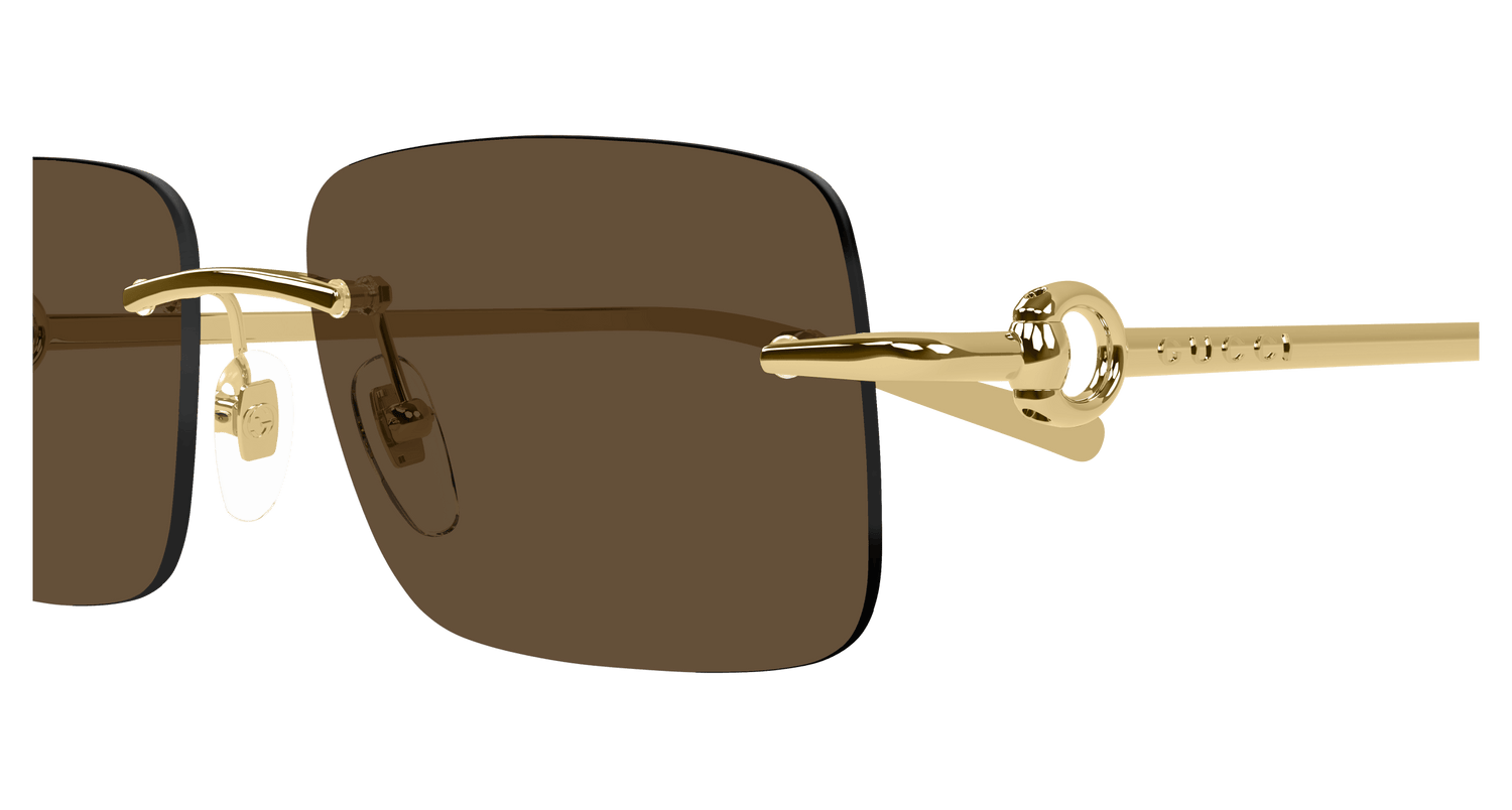 GUCCI GG1703S 004 55