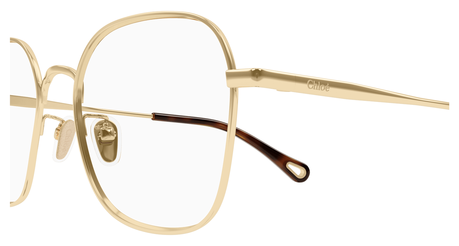 CHLOÉ CH0245OA 001 53