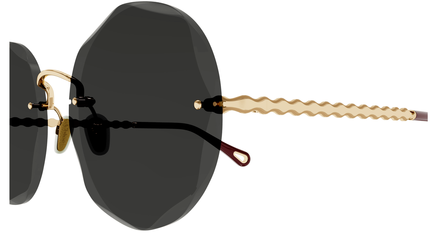 CHLOÉ CH0254S 001 57