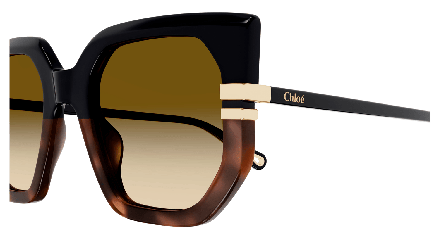 CHLOÉ CH0240S 003 53