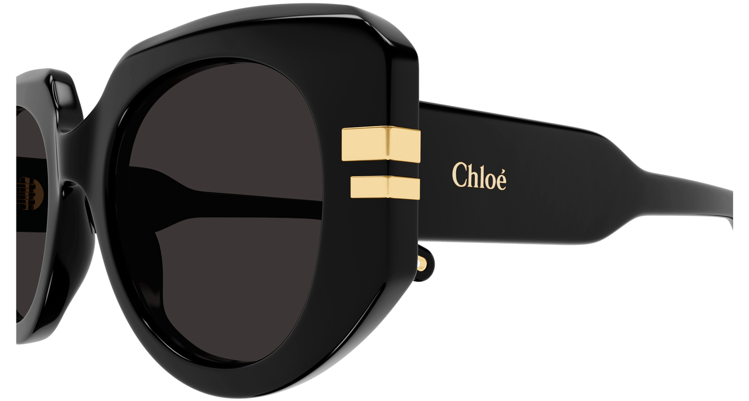 CHLOÉ CH0257S 001 52