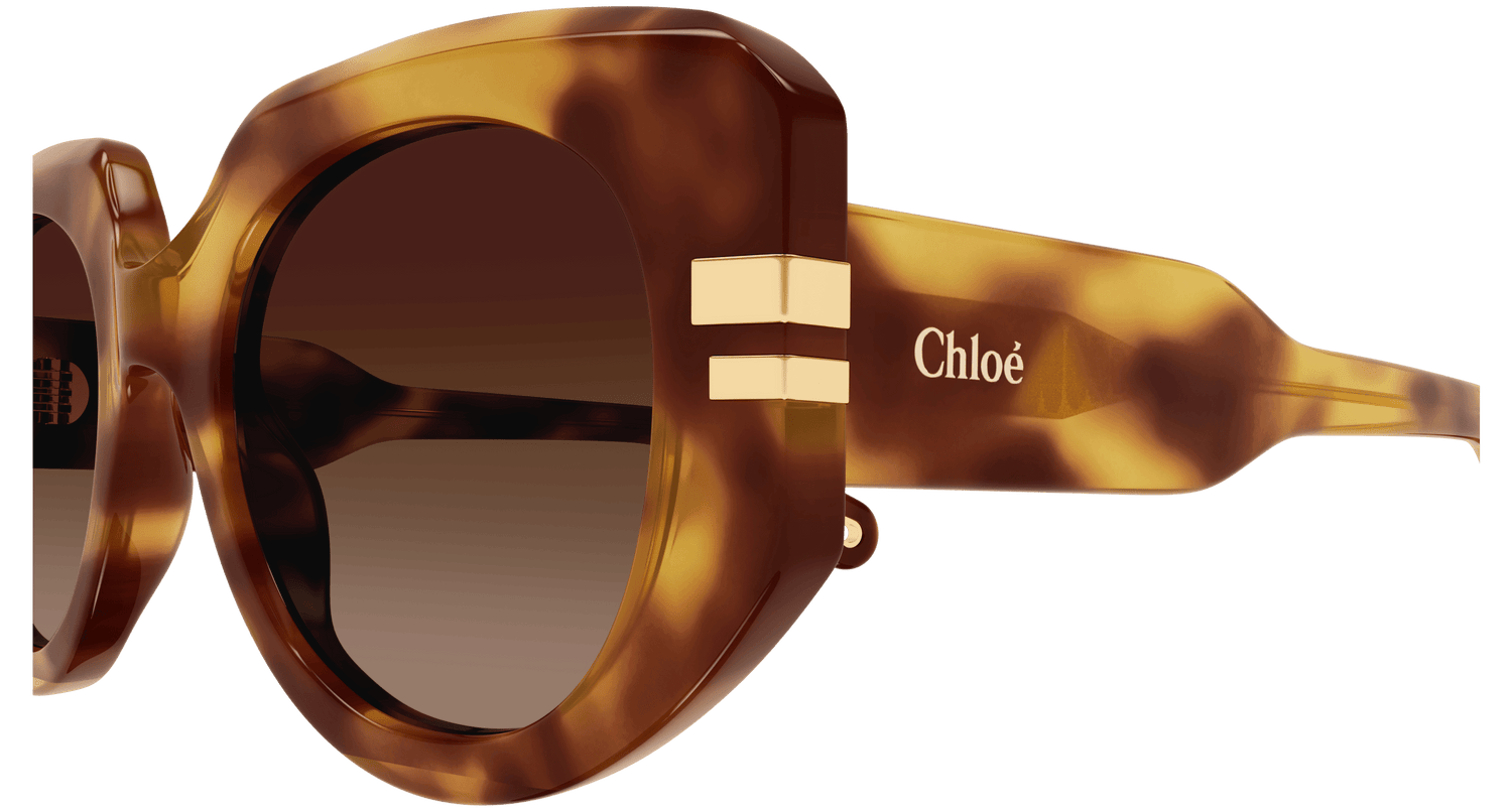 CHLOÉ CH0257S 002 52