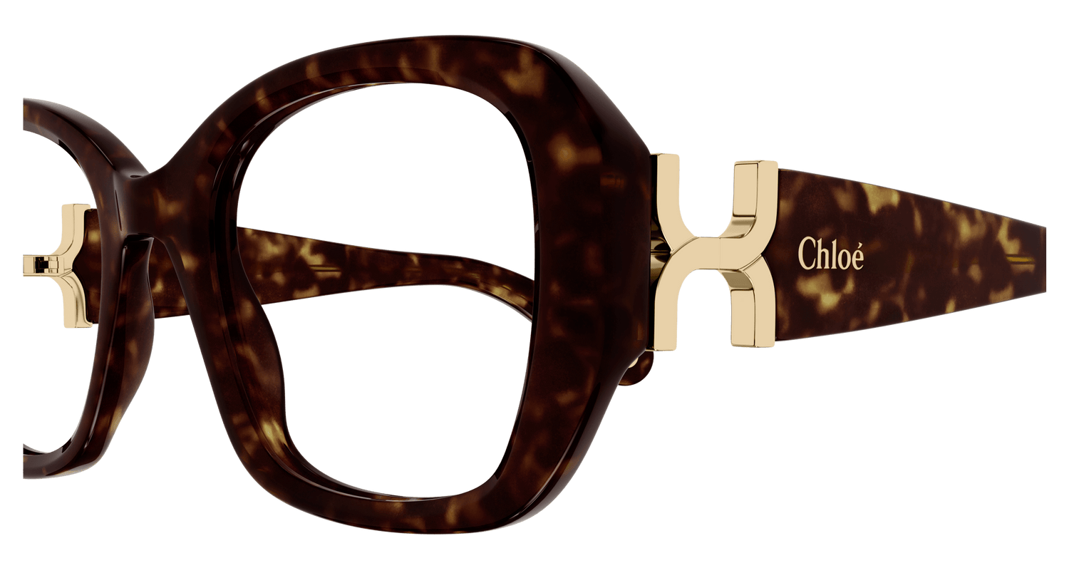 CHLOÉ CH0239O 002 51