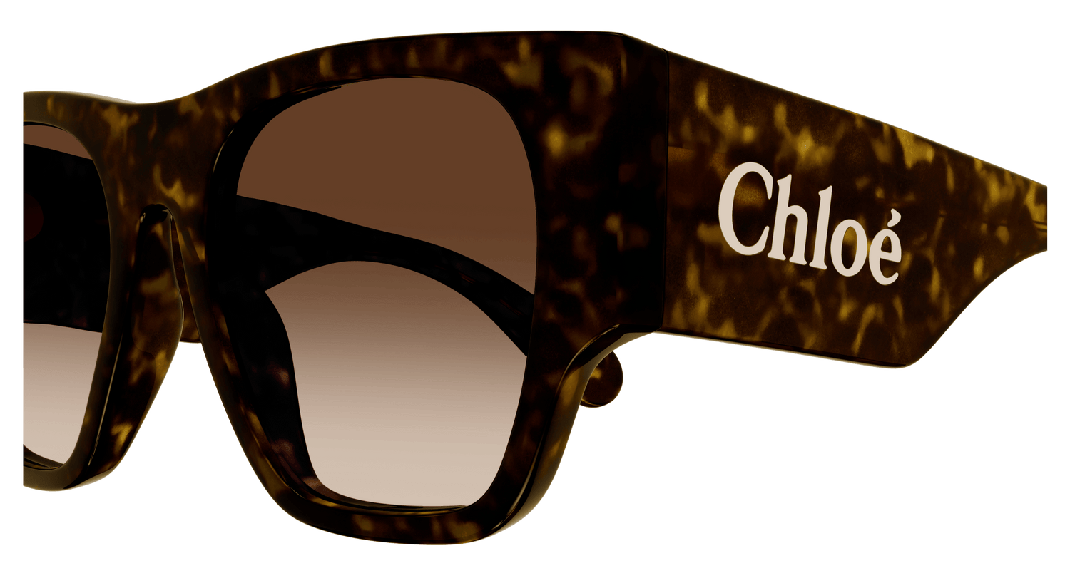 CHLOÉ CH0233S 002 53
