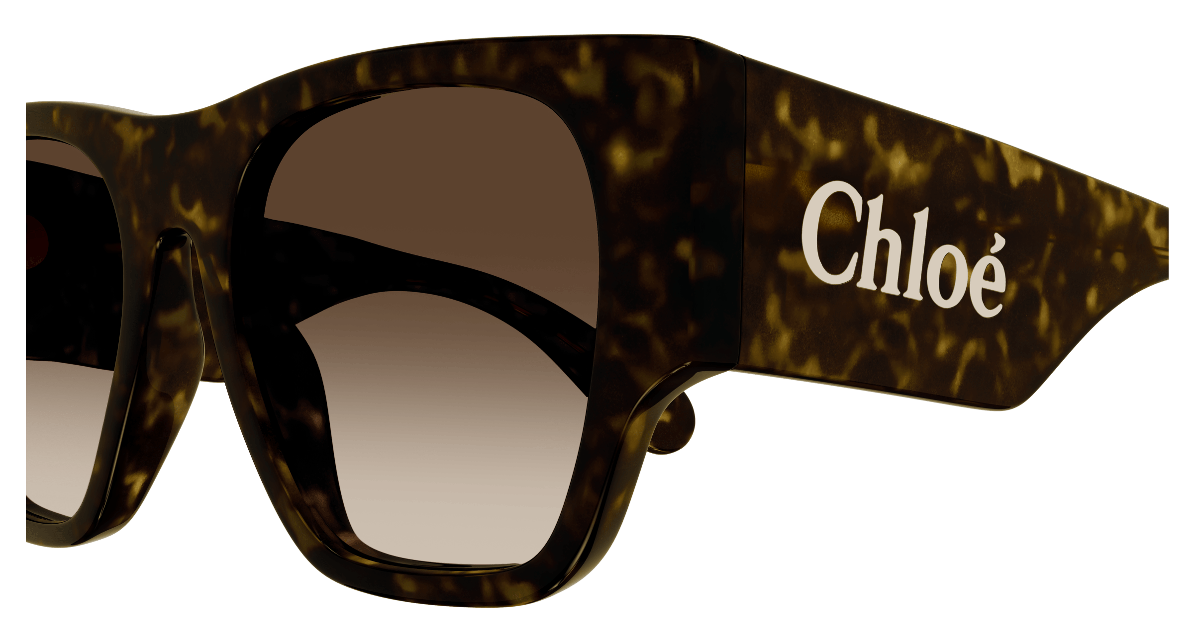 CHLOÉ CH0233S 002 53