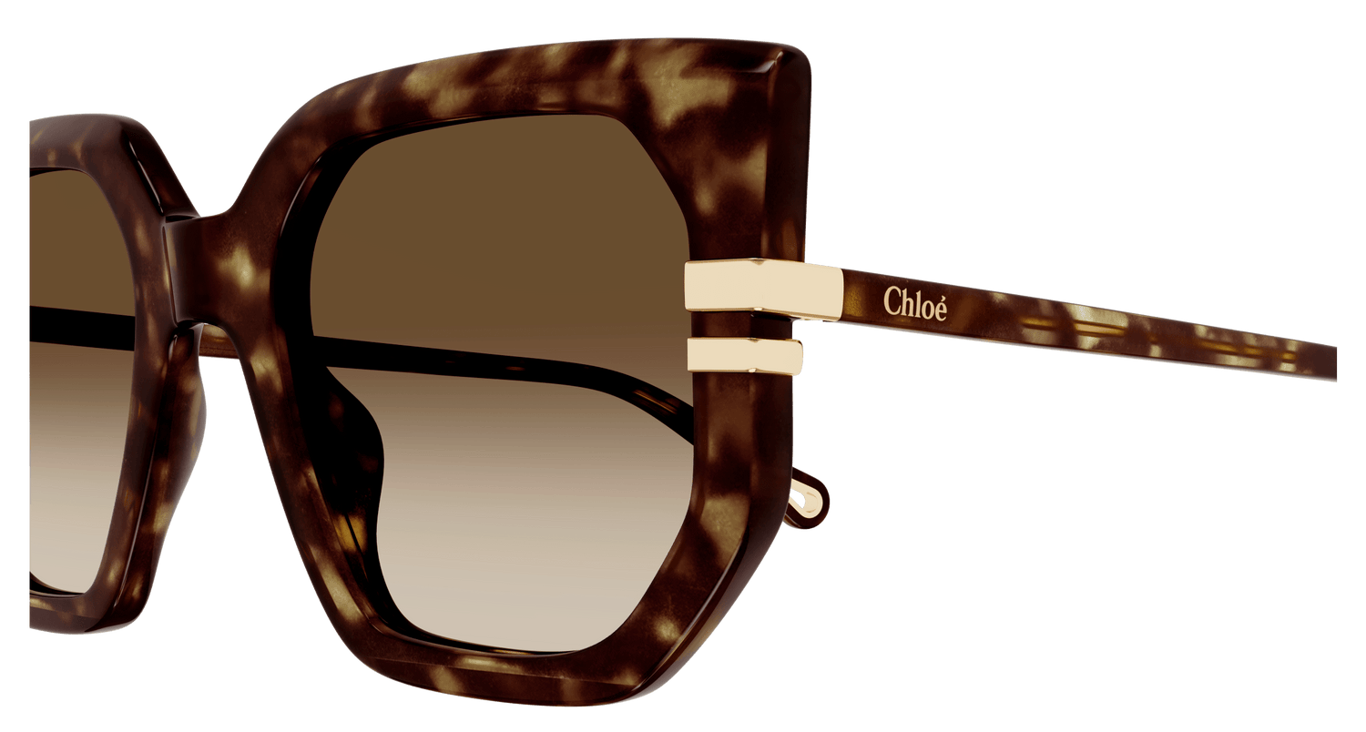 CHLOÉ CH0240S 002 53