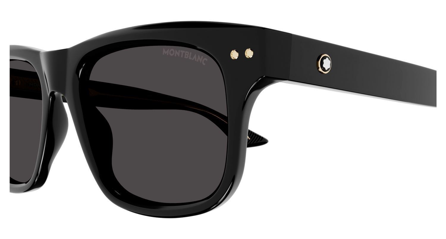 MONTBLANC MB0319S 001 55