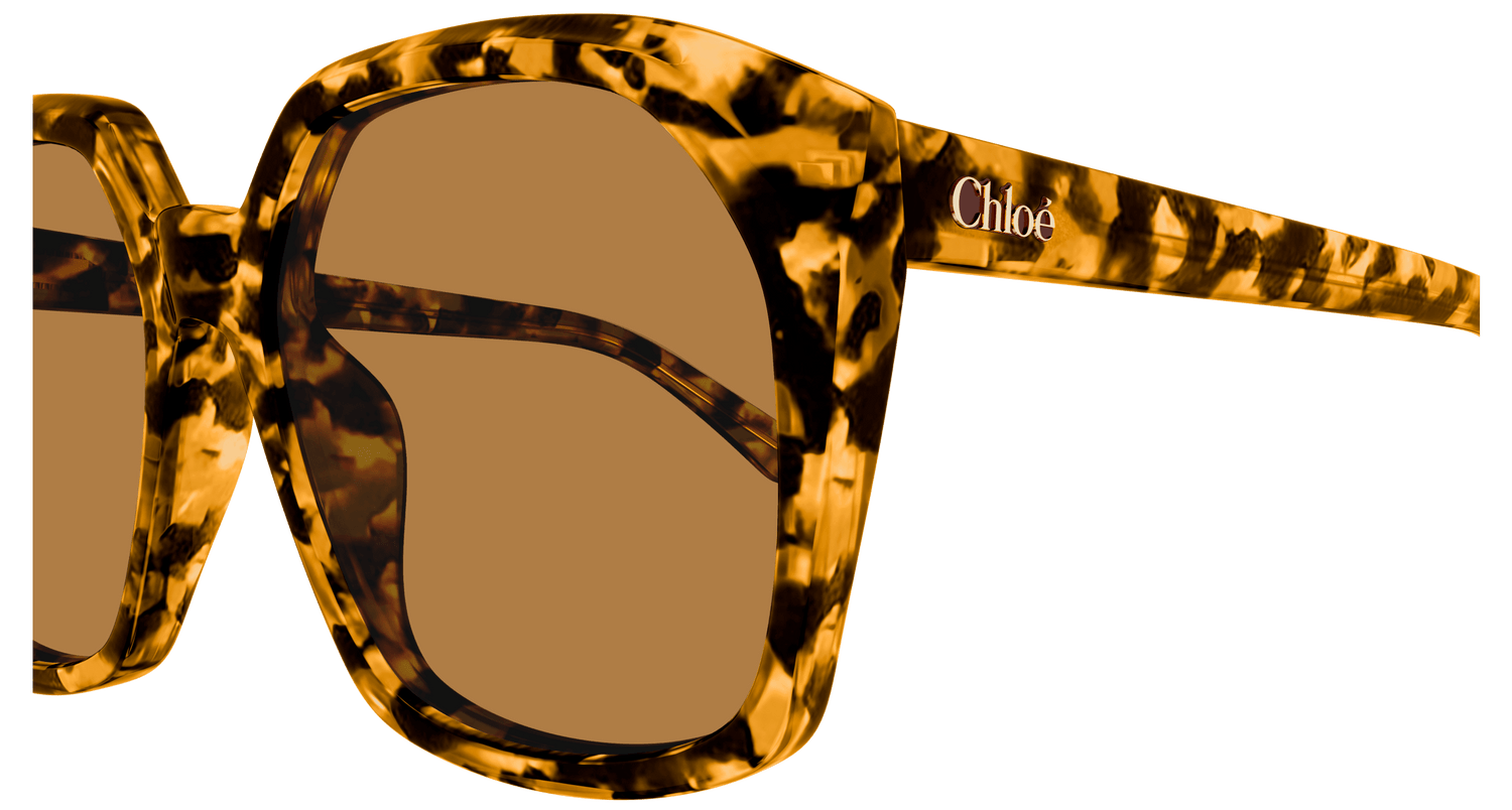 CHLOÉ CH0280S 007 57