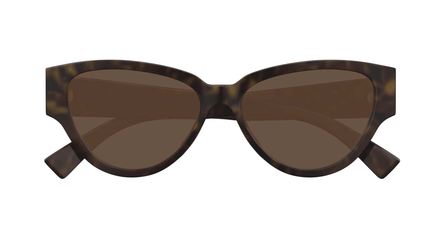 Bottega Veneta BV1319S 002 56