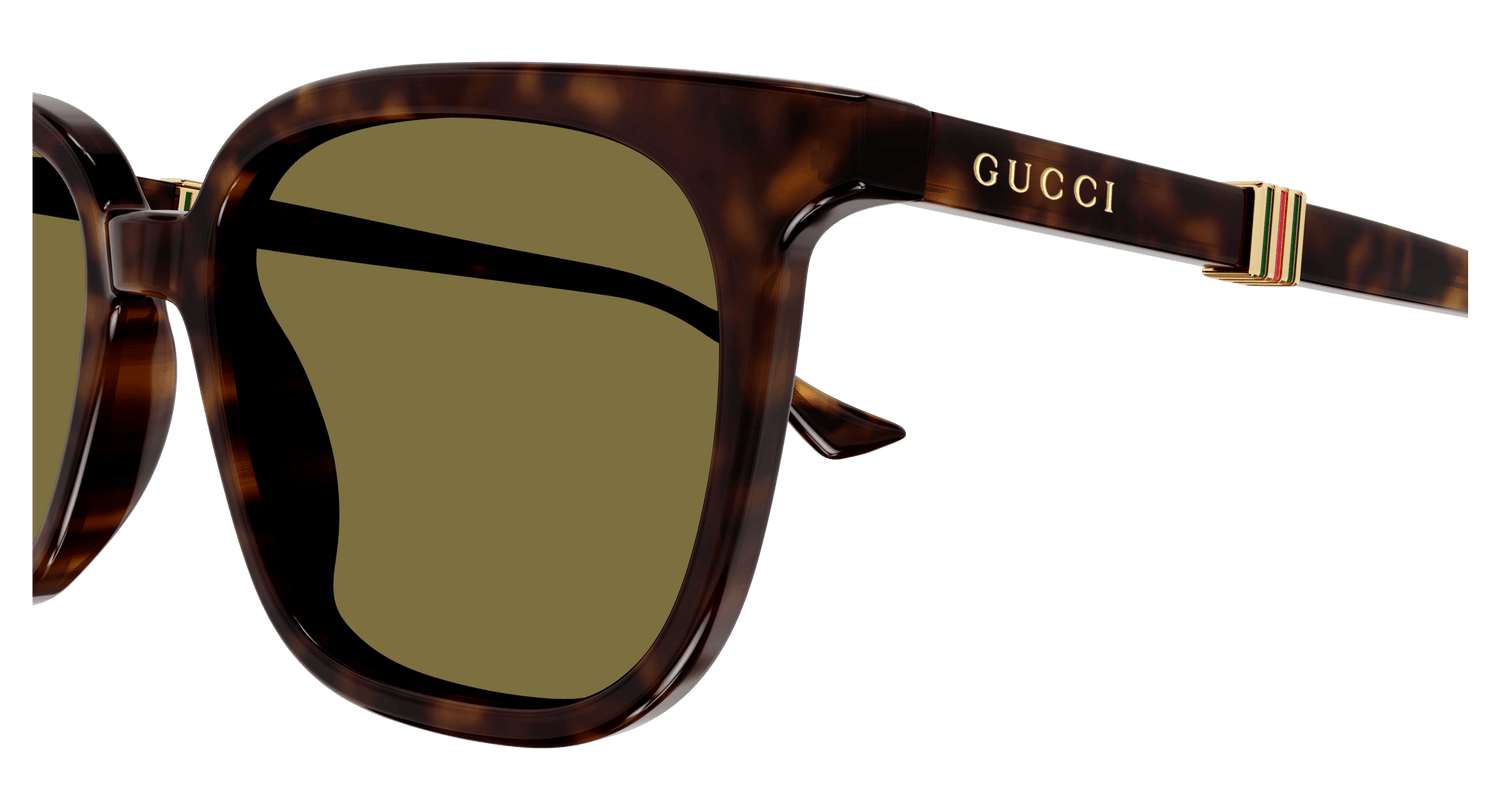 GUCCI GG1493S 002 54