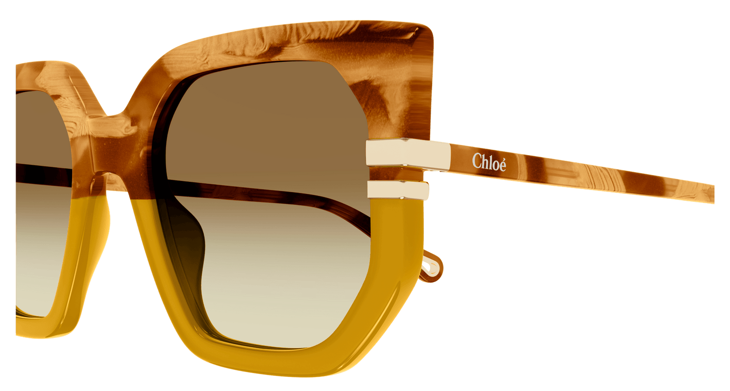 CHLOÉ CH0240S 004 53