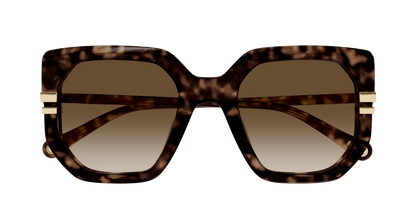 CHLOÉ CH0240S 002 53