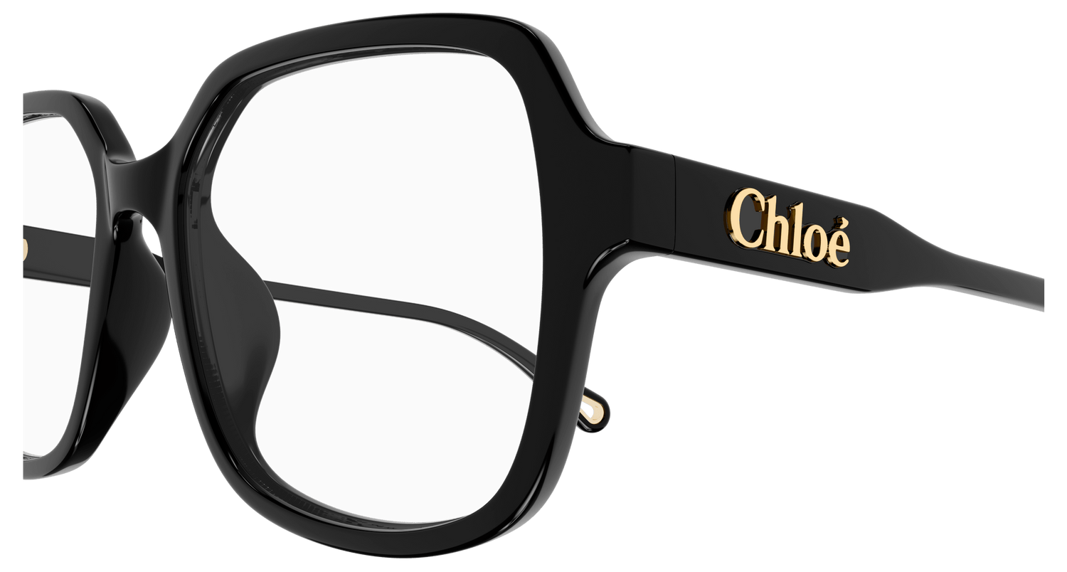 CHLOÉ CH0277OA 001 53