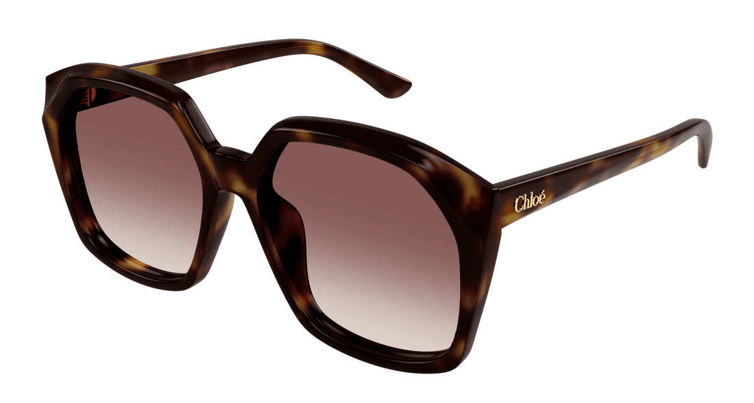 Translation missing: es.seo.product.type.gafas-de-sol chloé ch0280s 006 havana rectangular / squared femenino talla 57mm - Translation missing: es.seo.product.alt.imagen-principal