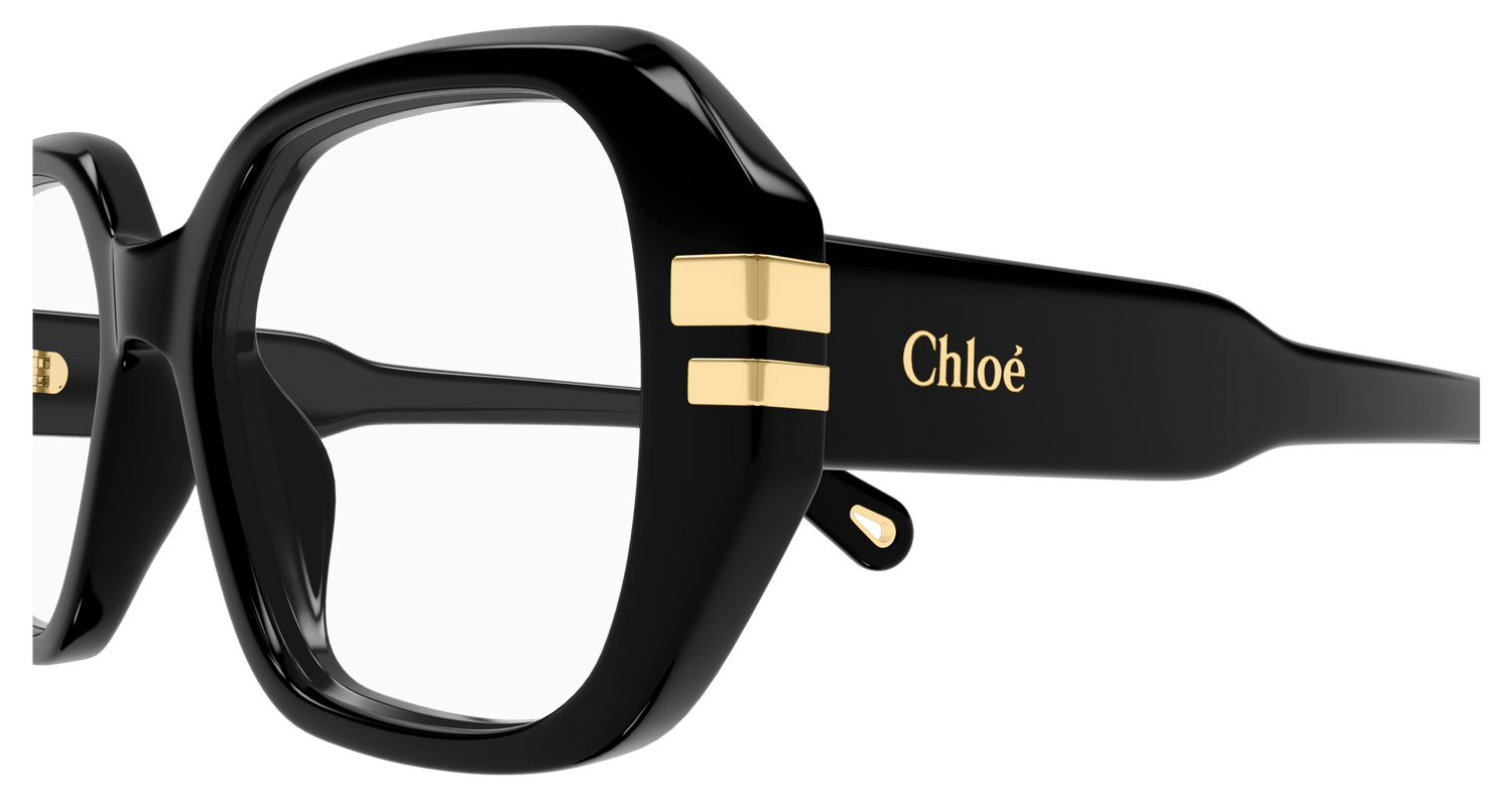 CHLOÉ CH0266O 001 53
