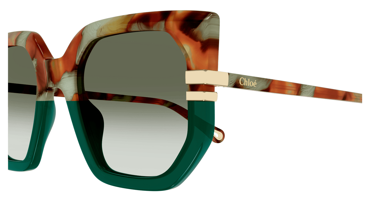 CHLOÉ CH0240S 005 53