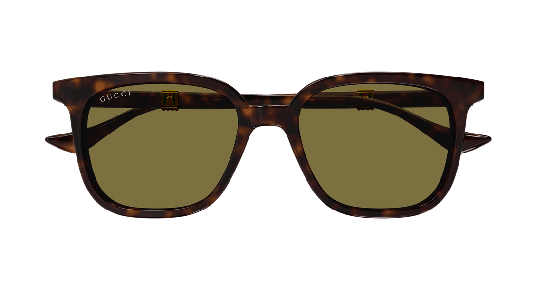 GUCCI GG1493S 002 54