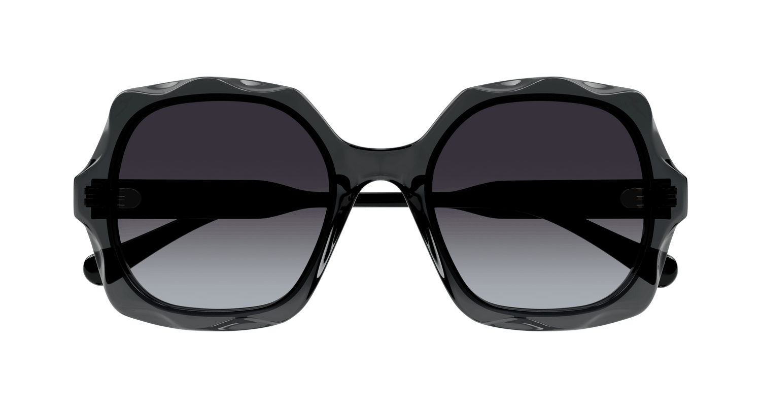 CHLOÉ CH0226S 001 53