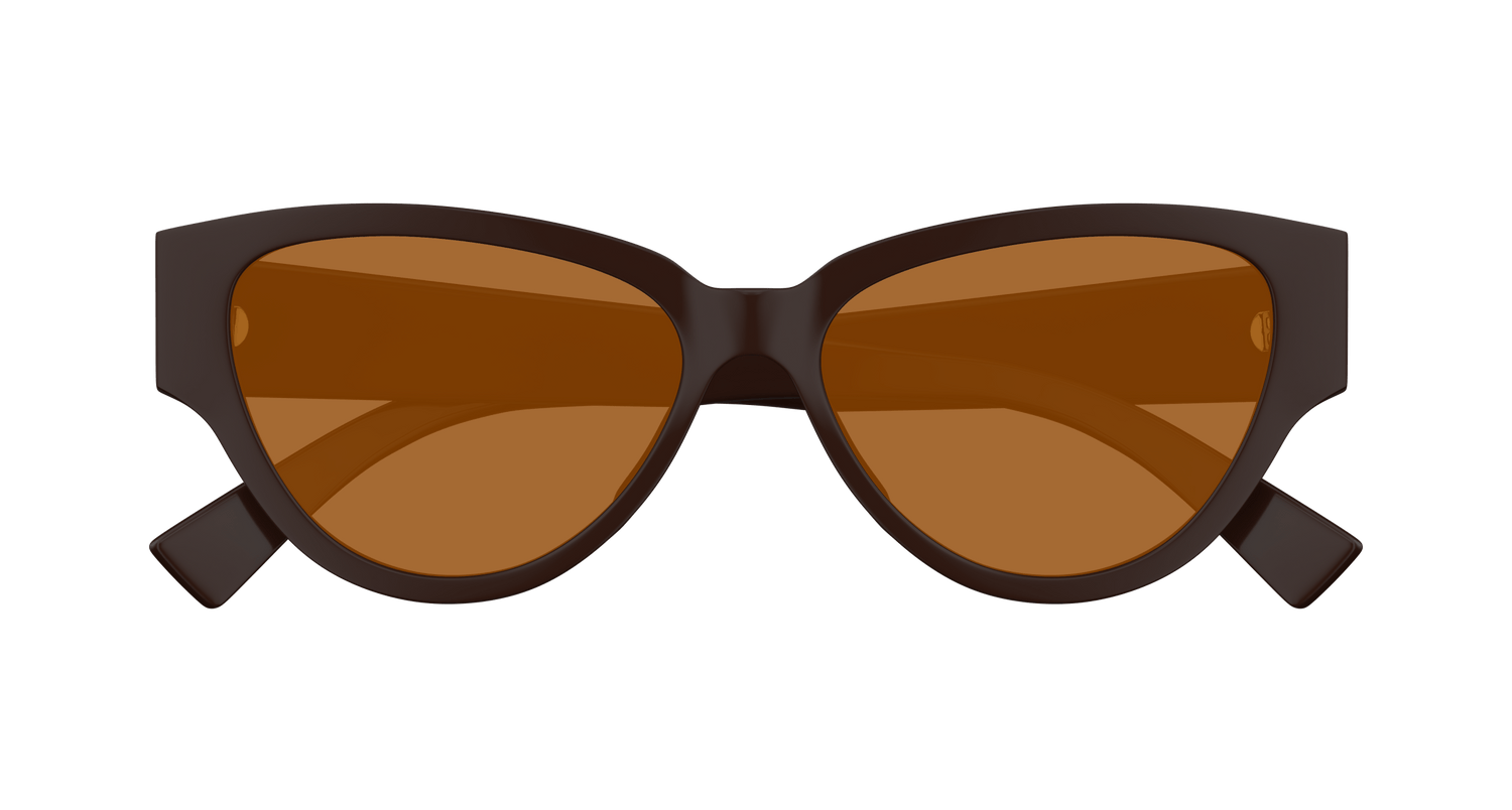Bottega Veneta BV1319S 003 56