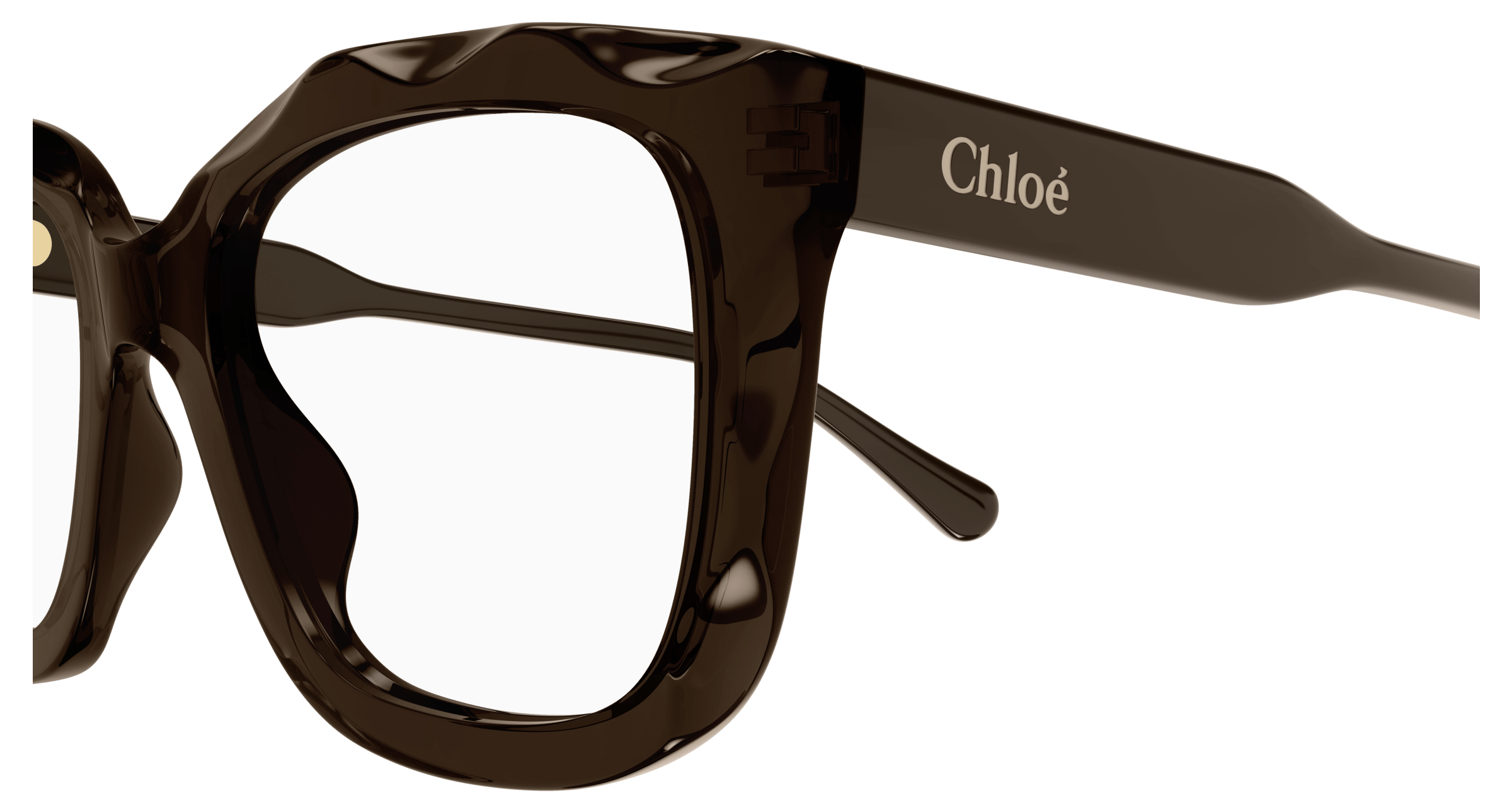 CHLOÉ CH0229O 002 52