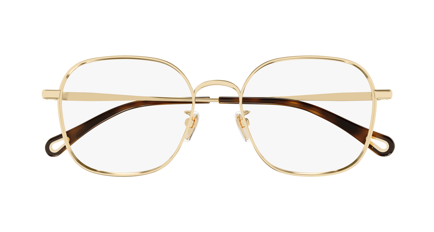 CHLOÉ CH0245OA 001 53