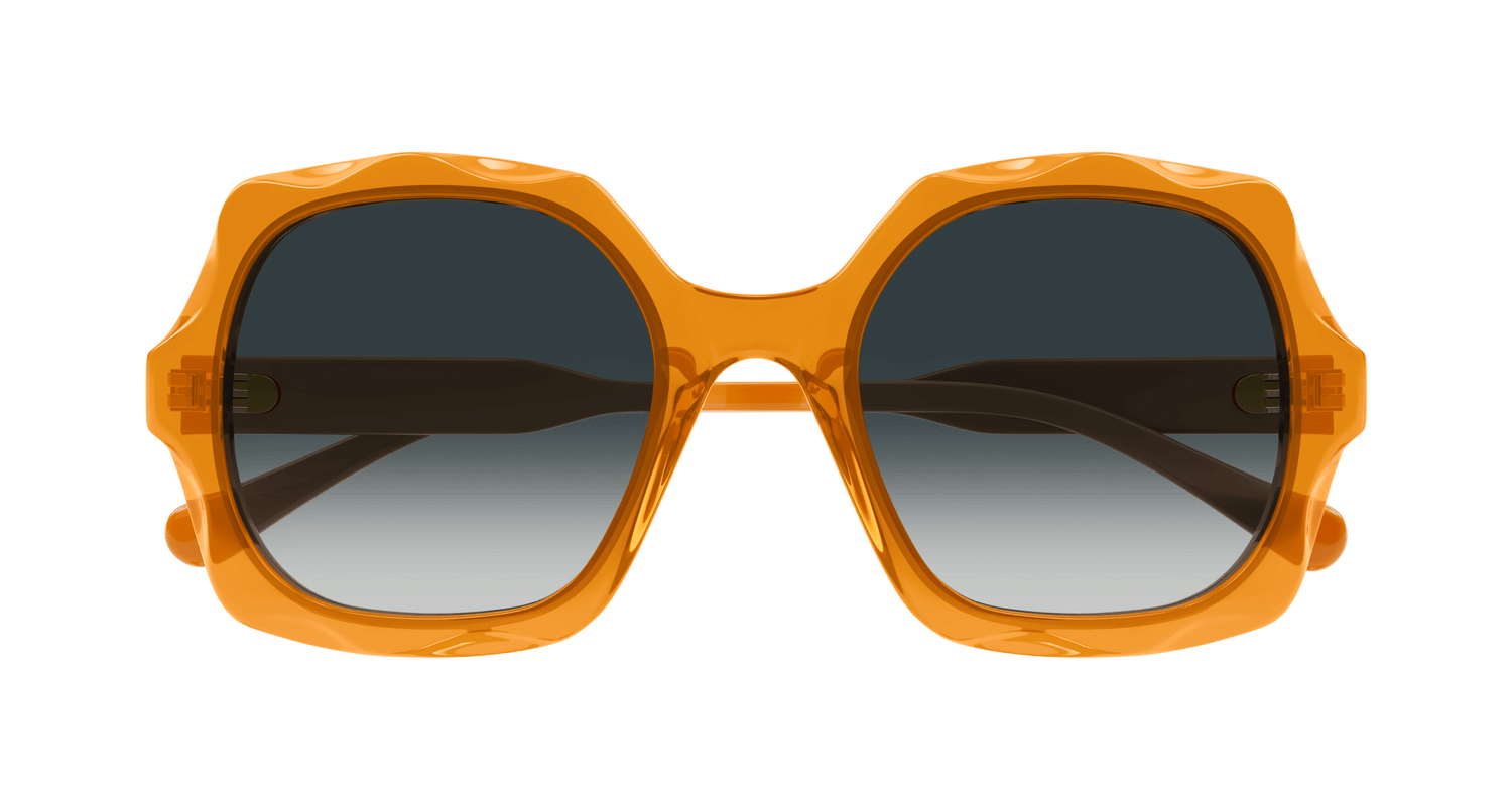 CHLOÉ CH0226S 004 53