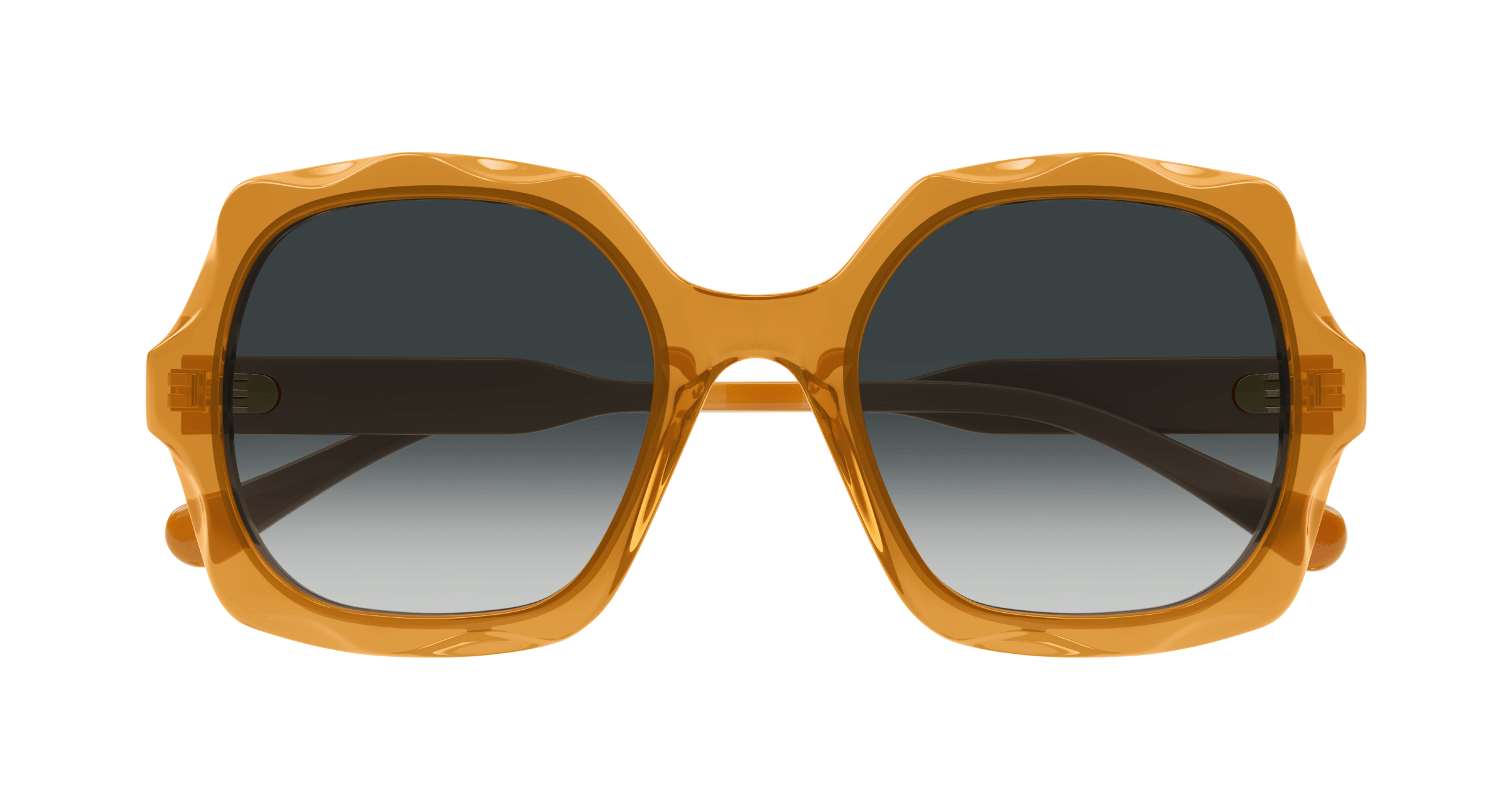 CHLOÉ CH0226S 004 53