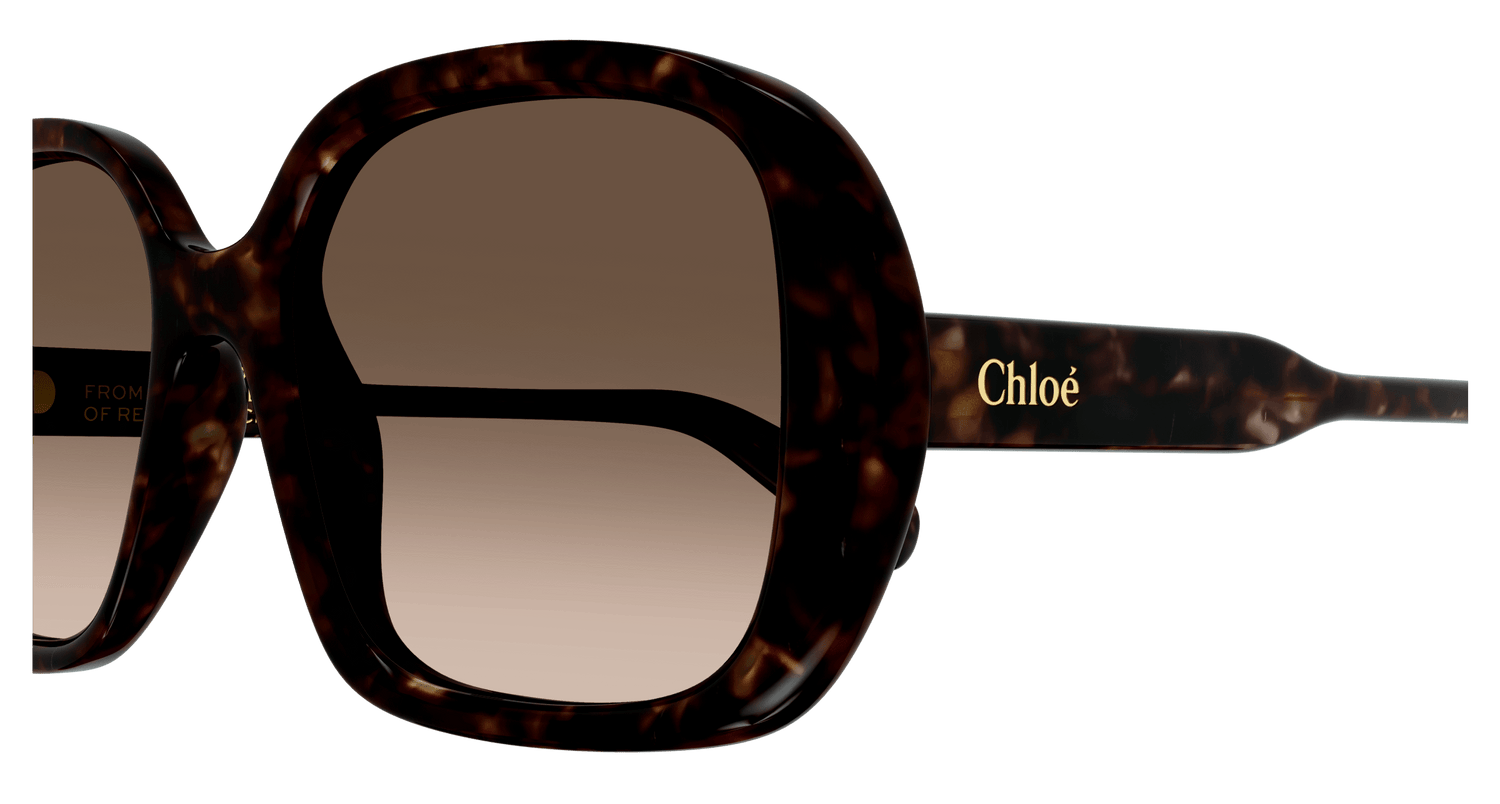 CHLOÉ CH0222S 002 55