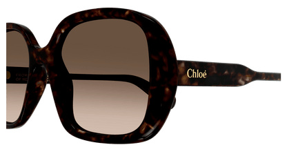 CHLOÉ CH0222S 002 55
