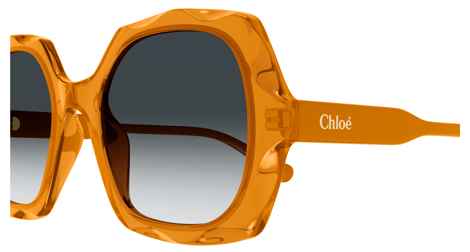 CHLOÉ CH0226S 004 53
