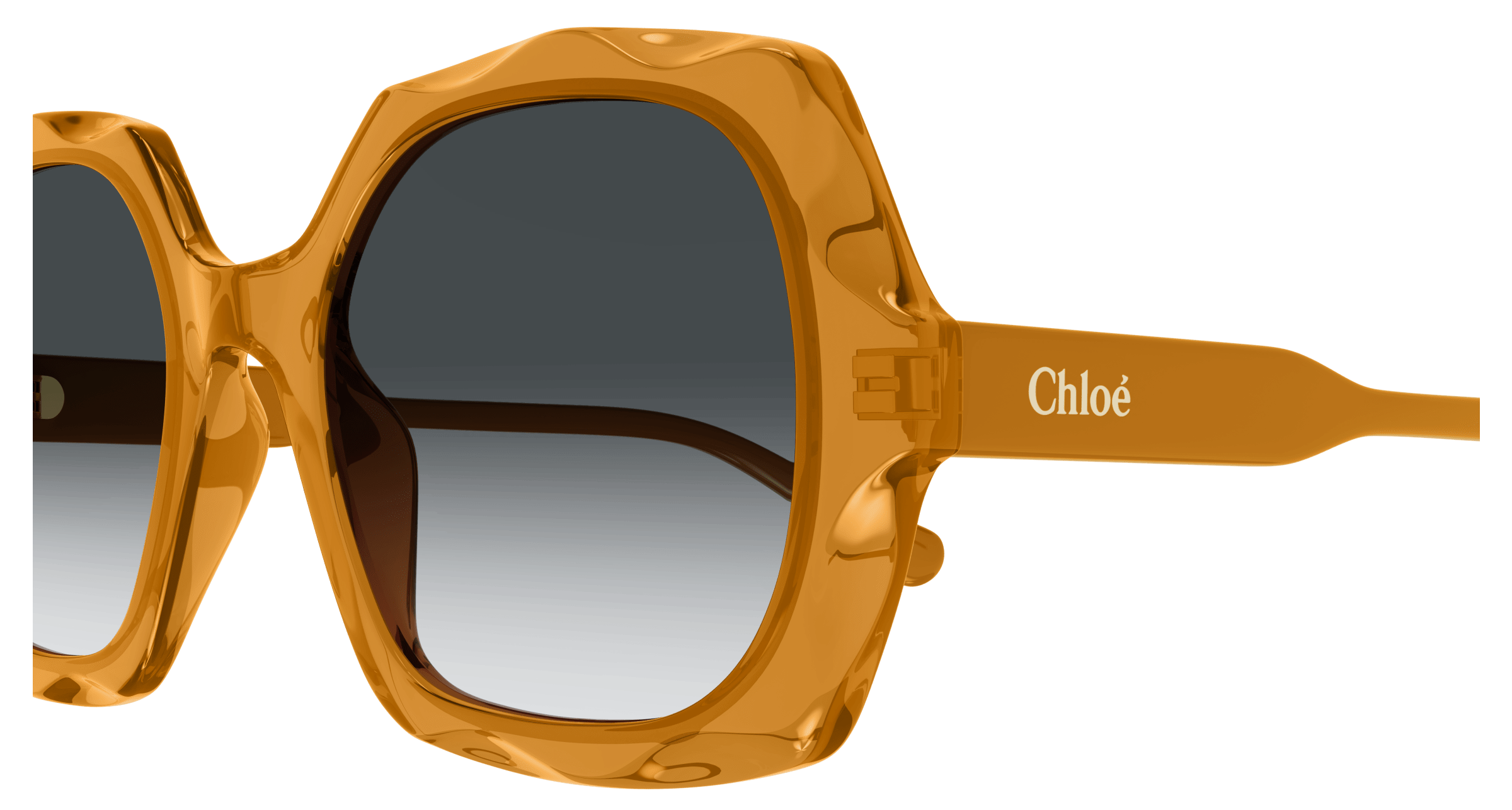 CHLOÉ CH0226S 004 53