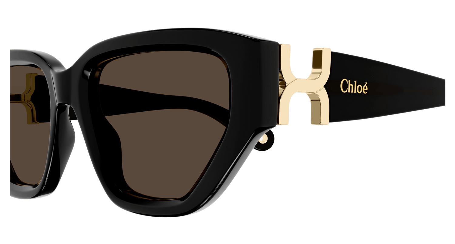 CHLOÉ CH0235S 001 55