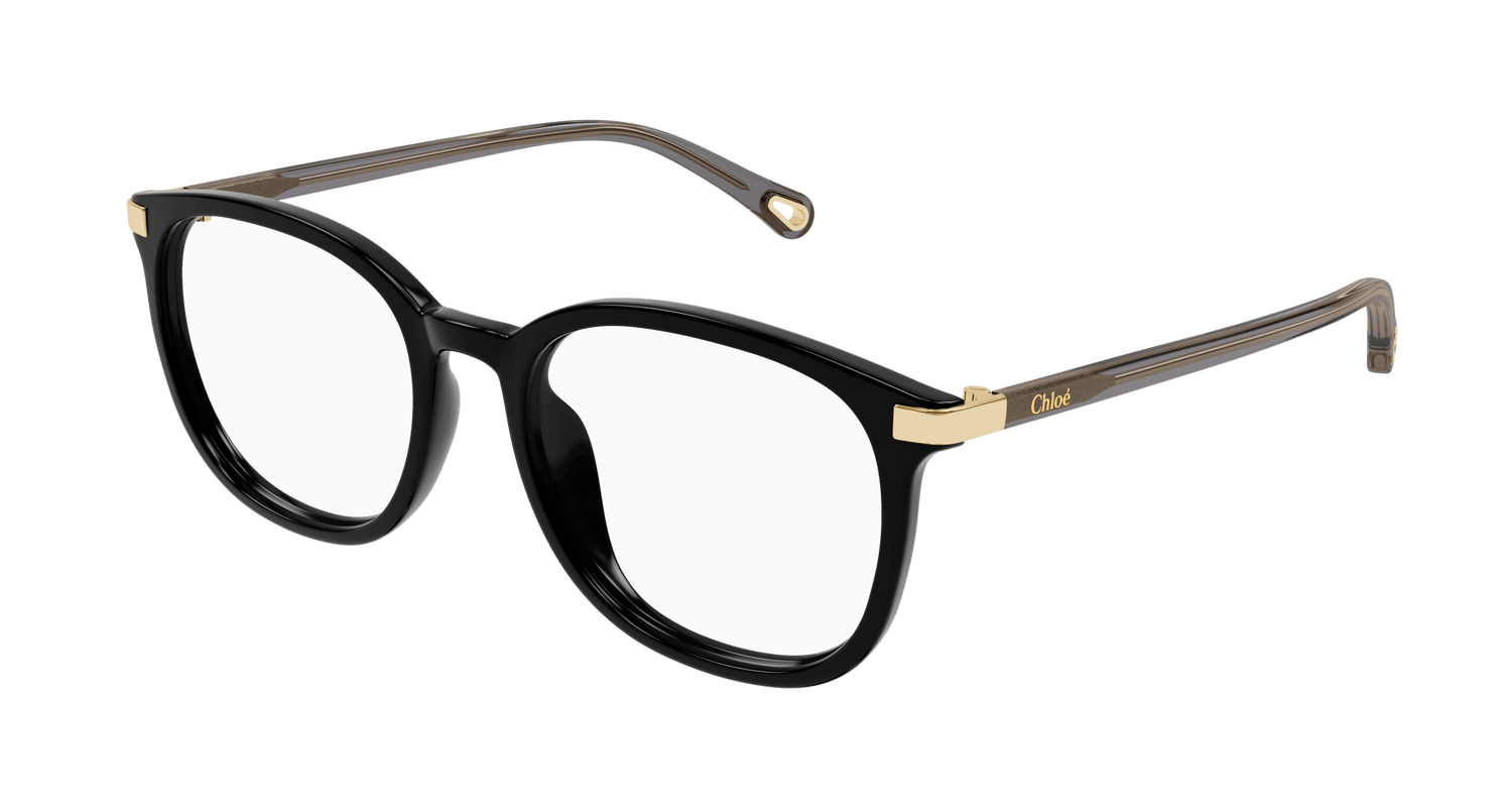 CHLOÉ CH0247OA 001 54