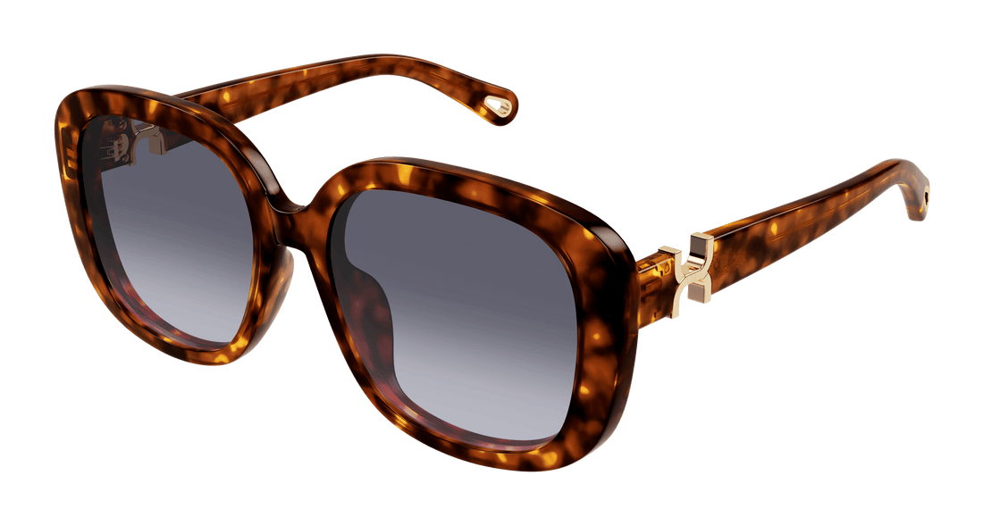 Translation missing: es.seo.product.type.gafas-de-sol chloé ch0303sk 002 havana square femenino talla 56mm - Translation missing: es.seo.product.alt.imagen-principal