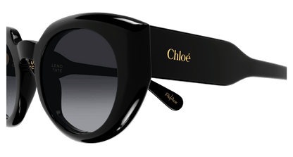 CHLOÉ CH0311S 001 51
