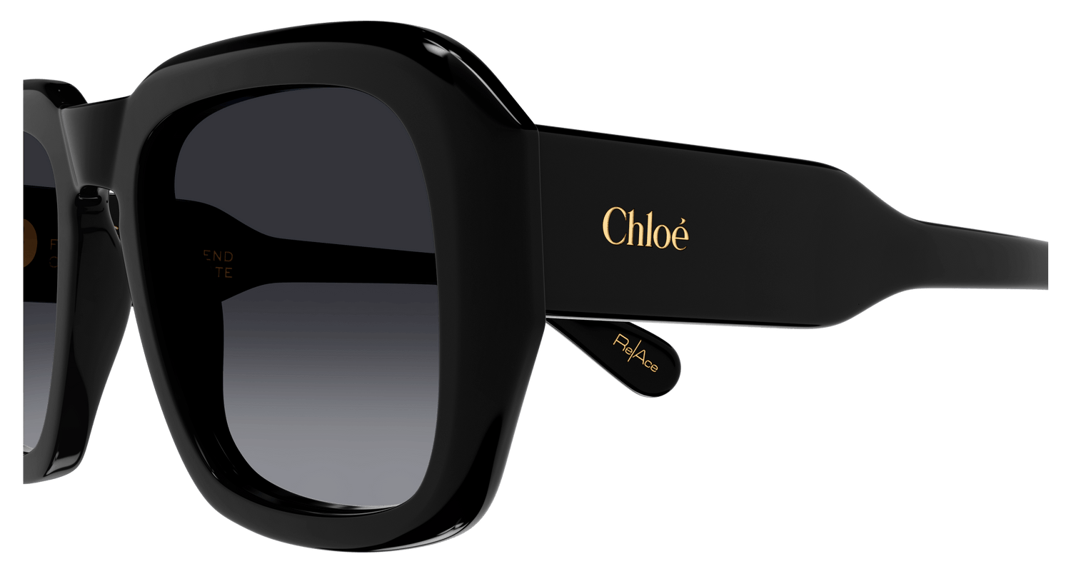 CHLOÉ CH0310S 001 54
