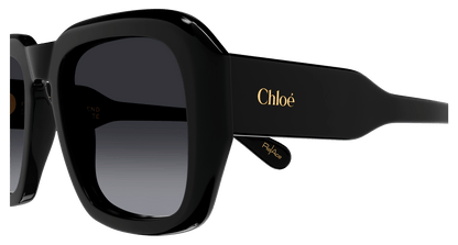 CHLOÉ CH0310S 001 54