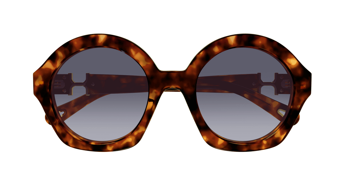 Translation missing: es.seo.product.type.gafas-de-sol chloé ch0302s 002 havana round femenino talla 53mm - Translation missing: es.seo.product.alt.imagen-secundaria