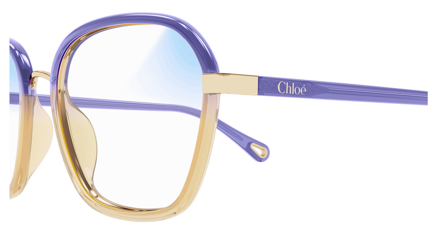 CHLOÉ CH0309S 001 54