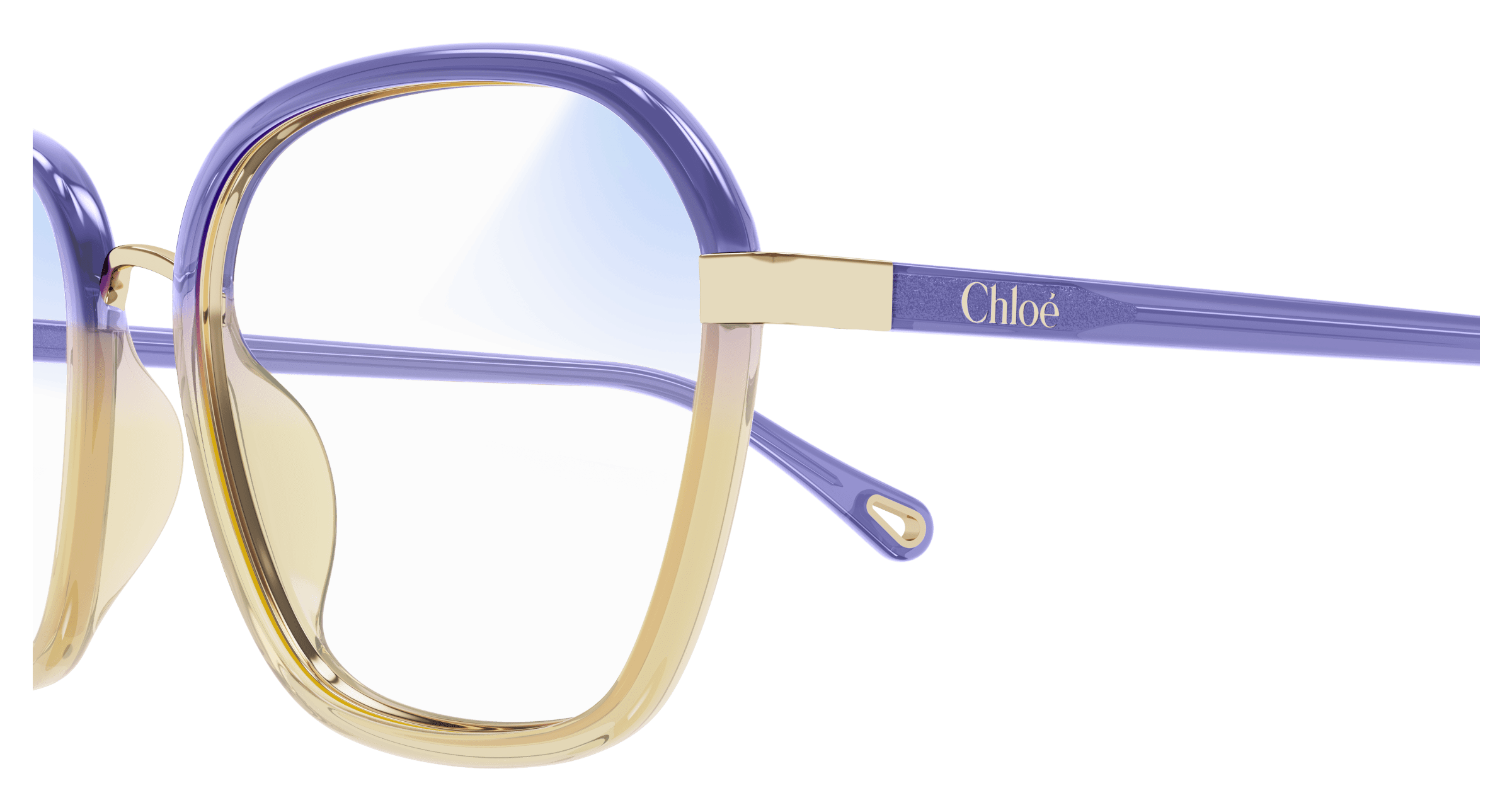 CHLOÉ CH0309S 001 54