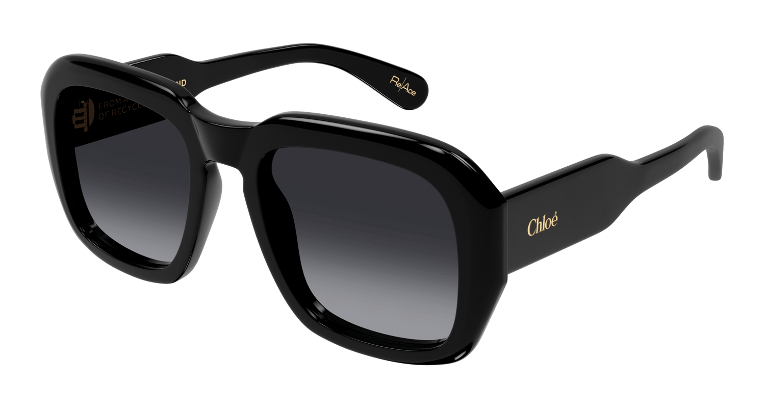 CHLOÉ CH0310S 001 54