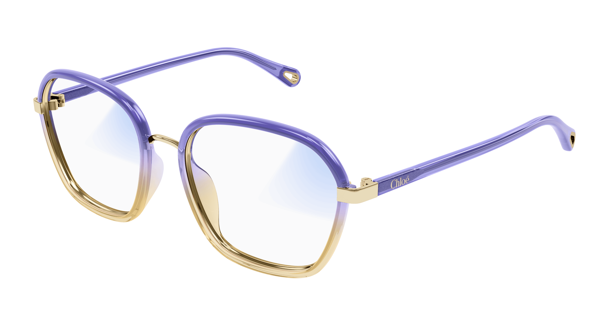 CHLOÉ CH0309S 001 54