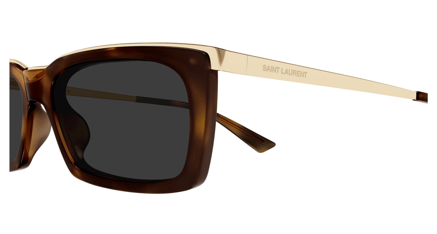 SAINT LAURENT SL 766/F 004 57