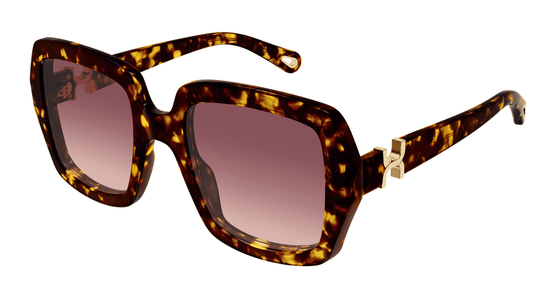 Translation missing: es.seo.product.type.gafas-de-sol chloé ch0301s 002 havana square femenino talla 52mm - Translation missing: es.seo.product.alt.imagen-principal