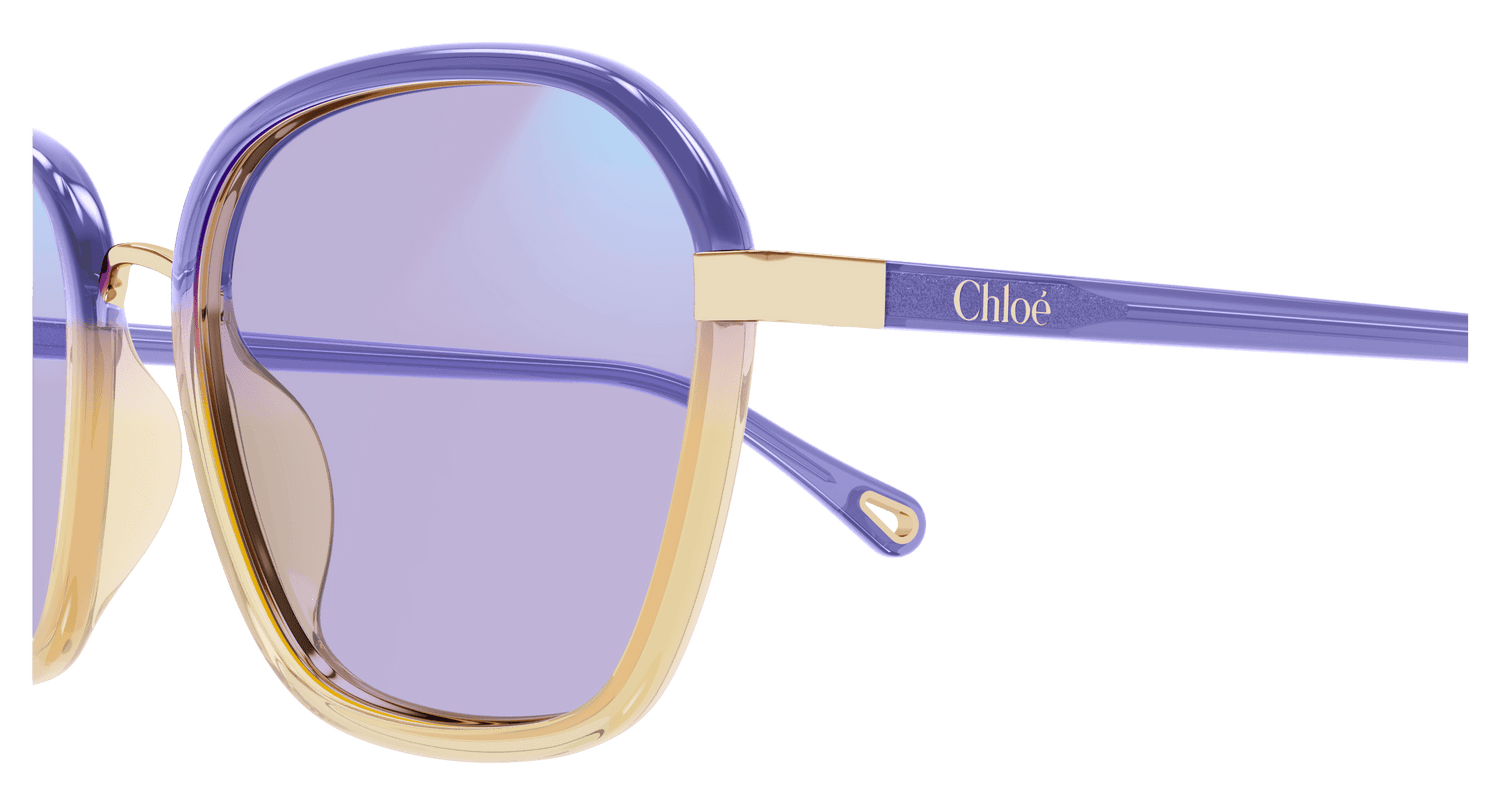 CHLOÉ CH0309S 001 54