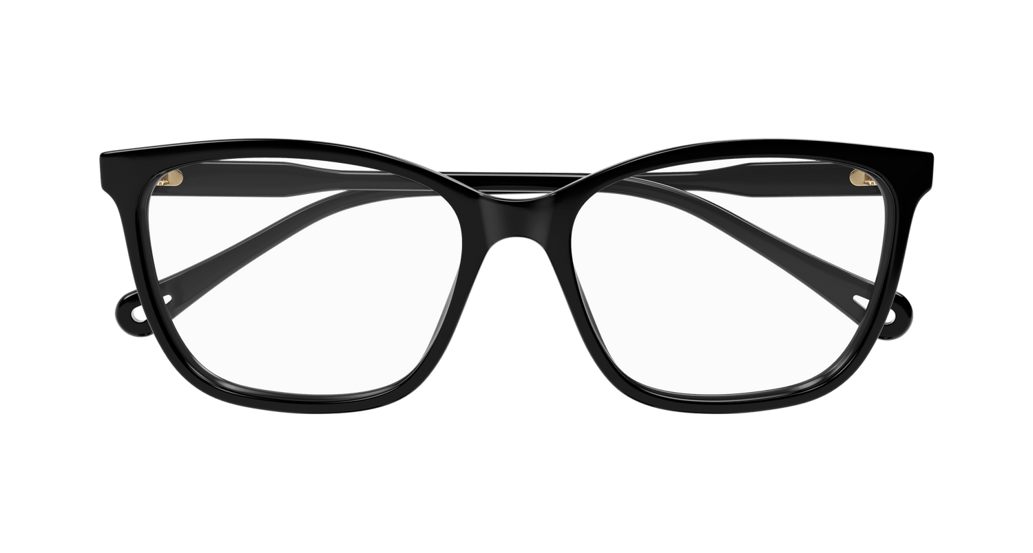 CHLOÉ CH0318O 001 55