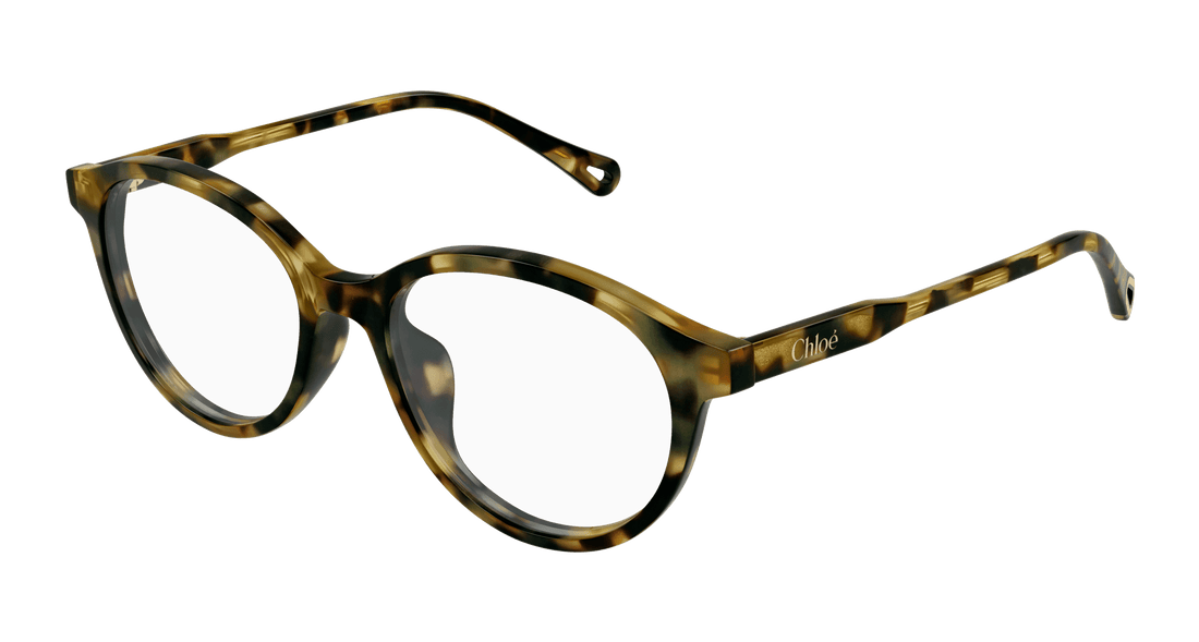 Translation missing: es.seo.product.type.gafas-graduadas chloé ch0316oa 002 havana round femenino talla 52mm - Translation missing: es.seo.product.alt.imagen-principal