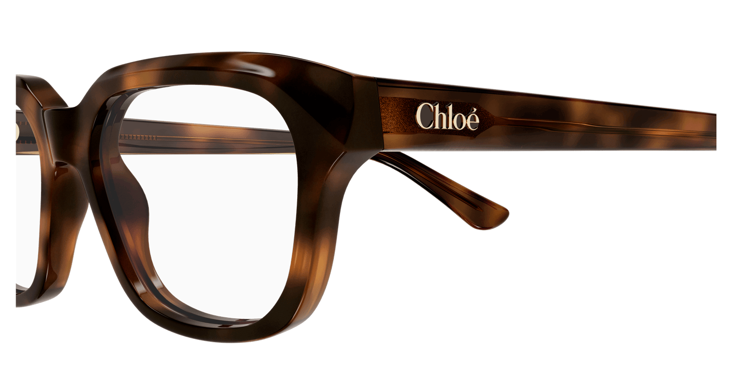 CHLOÉ CH0292O 002 51