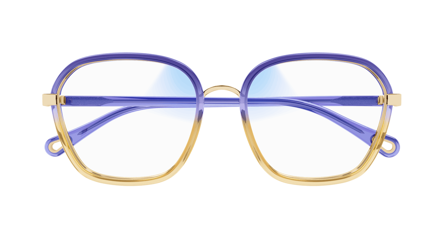 CHLOÉ CH0309S 001 54